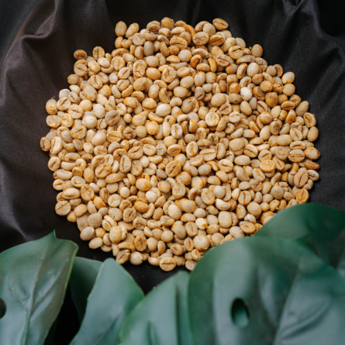 PT Diantama Anugrah Abadi